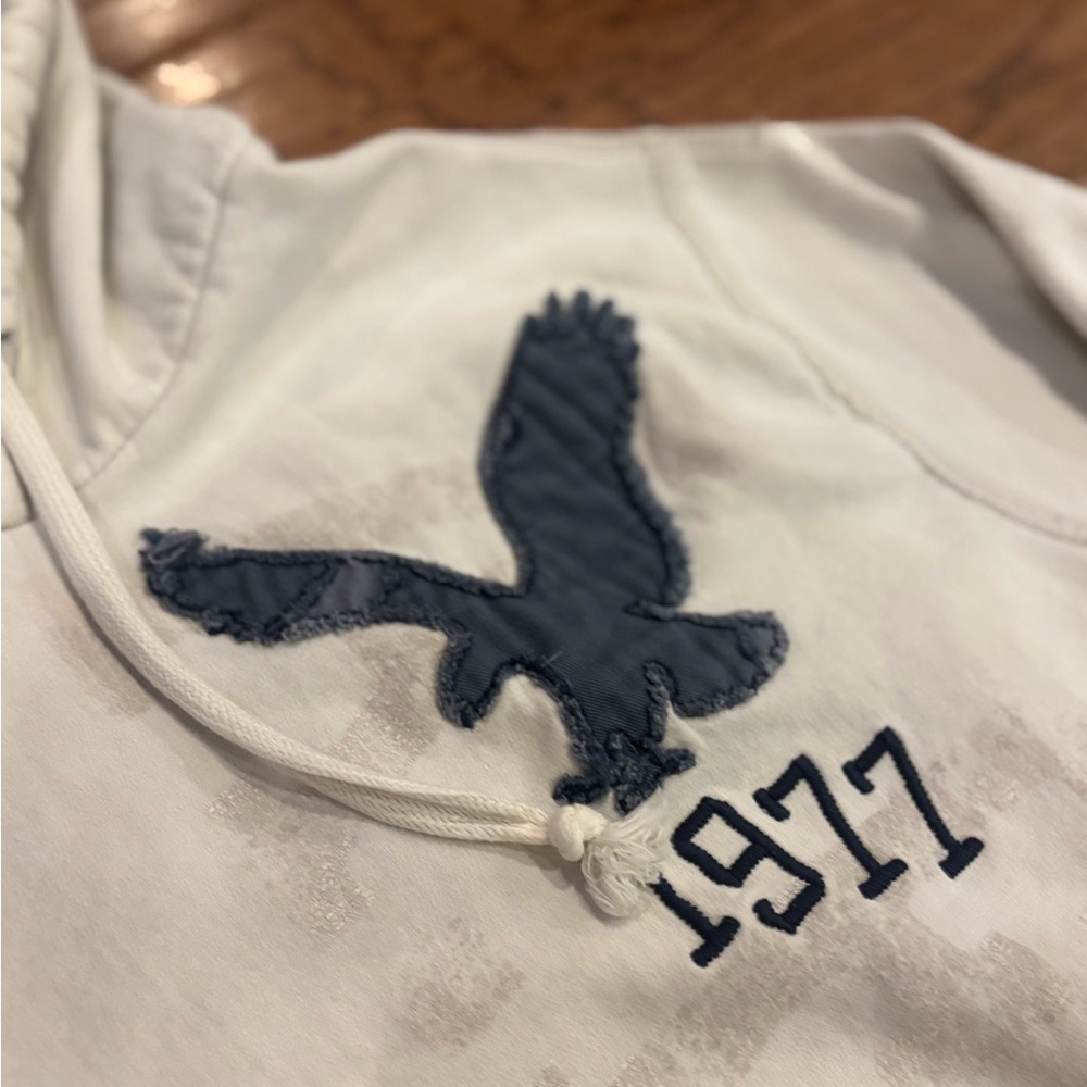 American Eagle Hoodie | Size L | 1977 Eagle Logo Y2K - Picture 2 of 10